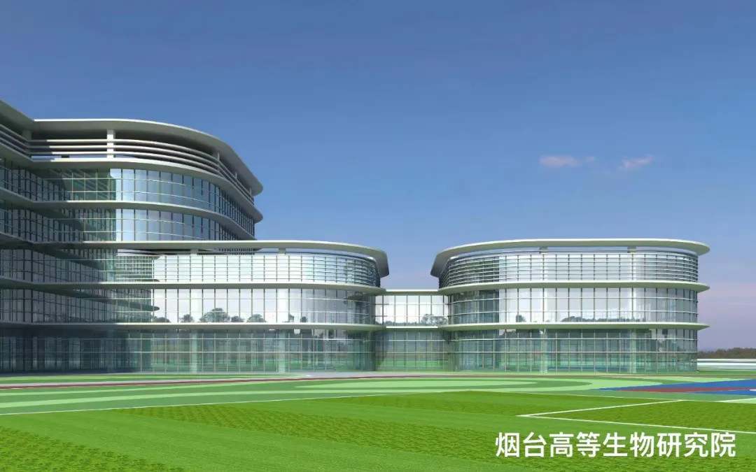 大跨度 高精度 超節(jié)能|鳳鋁助力煙臺(tái)城市更新，展登州新貌
